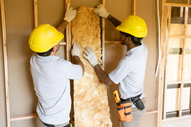 Professional Insulation Removal & Installation in Jackson, LA